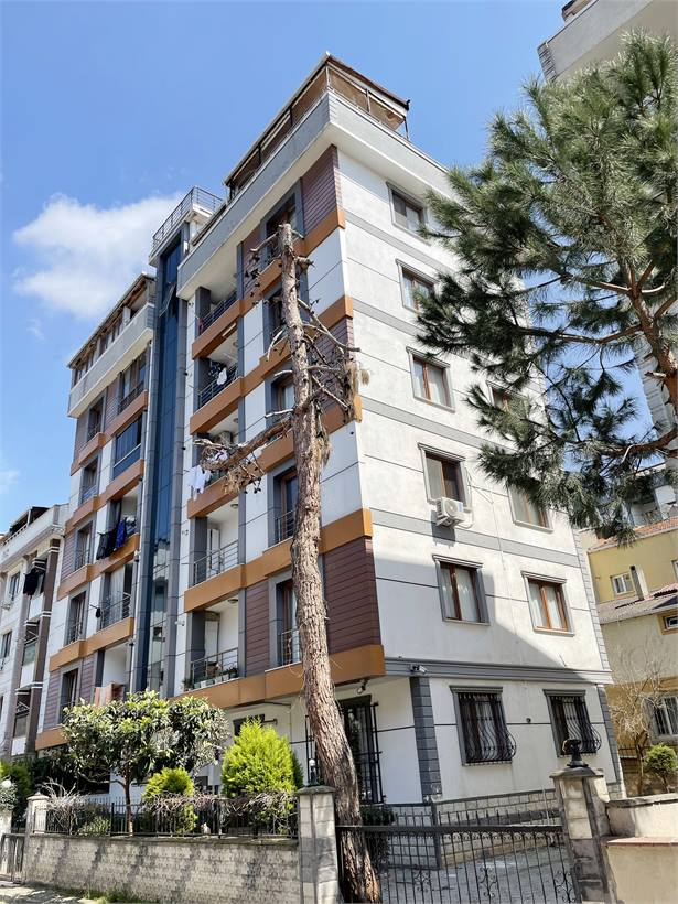Çam ağaçları arasında tamamlanmış Özalp İnşaat binası